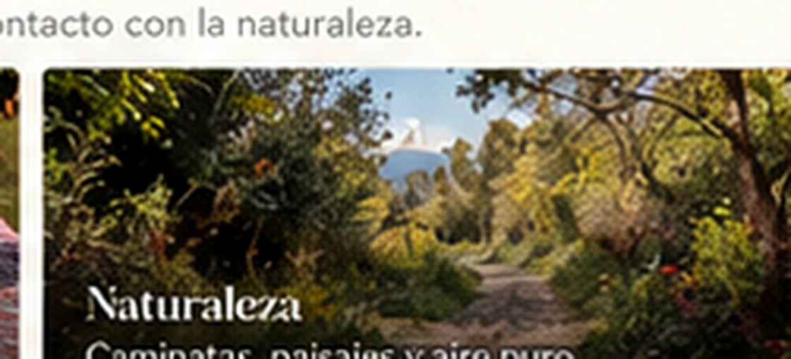Imagen ilustrativa de senderos y naturaleza